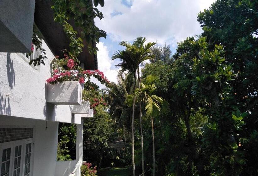 ホテル Hikkaduwa Blue Ocean