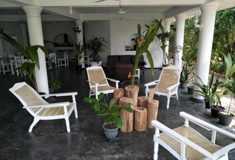 ホテル Hikkaduwa Blue Ocean