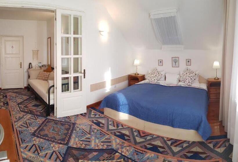 פנסיון Casa Vanatorului