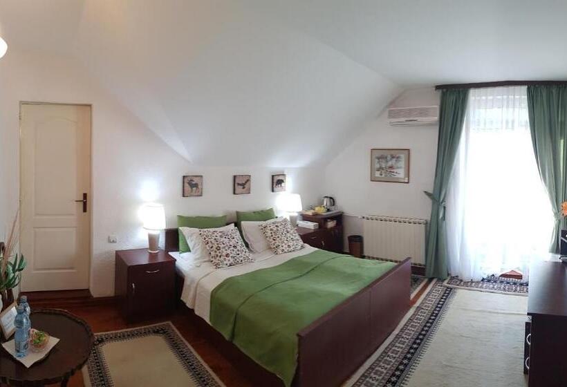 פנסיון Casa Vanatorului