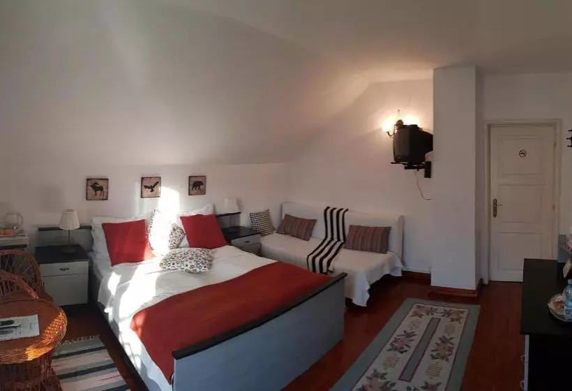 پانسیون Casa Vanatorului