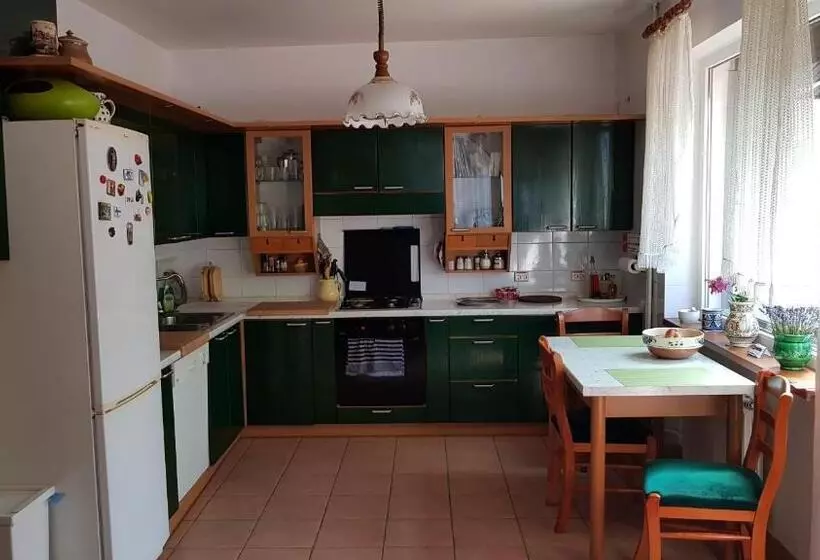 پانسیون Casa Vanatorului
