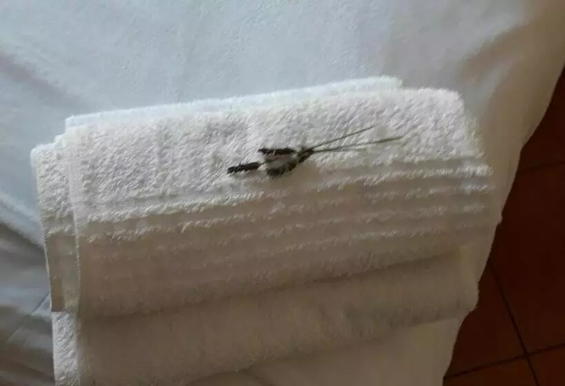 پانسیون Toscana Cottage