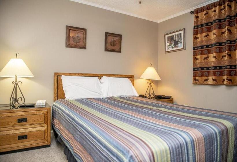 Stroll To Slopes, Village Area, Ski In Out Mtlodge 236