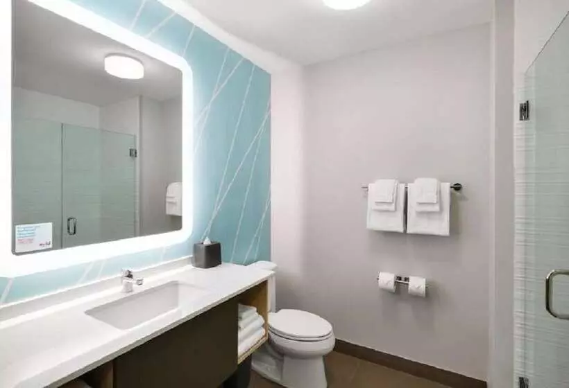 Avid Hotels   Zeeland, An Ihg