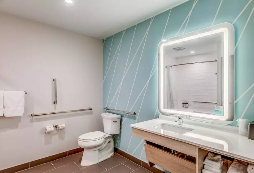 Avid Hotels   Zeeland, An Ihg