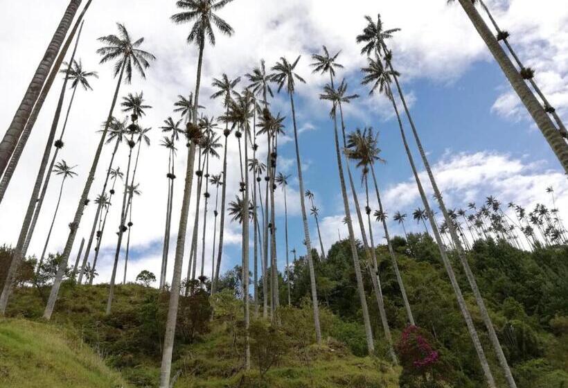 هتل El Patio De Mi Casa