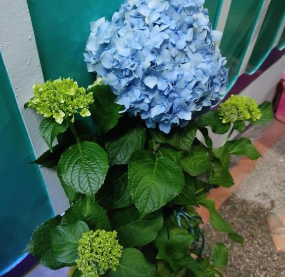 هتل El Patio De Mi Casa