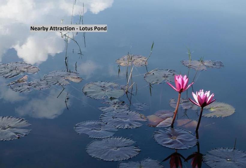 Hillside Hotels Apollo Jubilee Hills