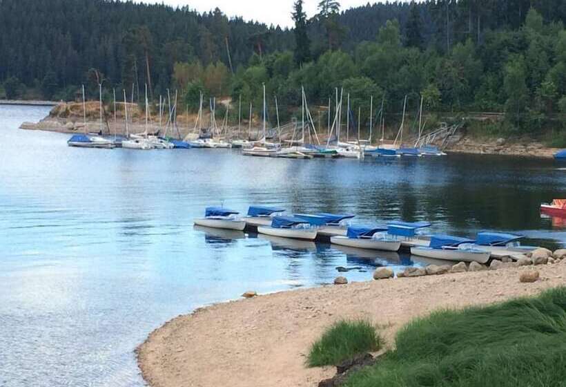 Отель Schwarzwaldhof Nicklas