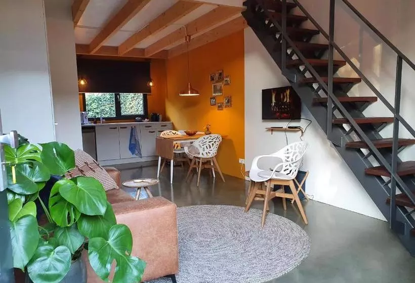 B&b Mooi Zelhem