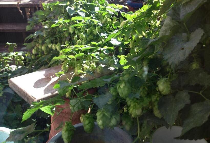 Gästehaus Alter Graben 8