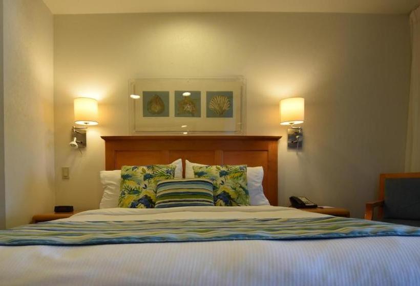 فندق Laguna Surf