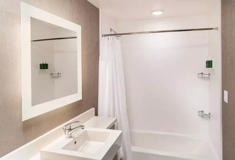 ホテル Springhill Suites By Marriott Irvine Lake Forest