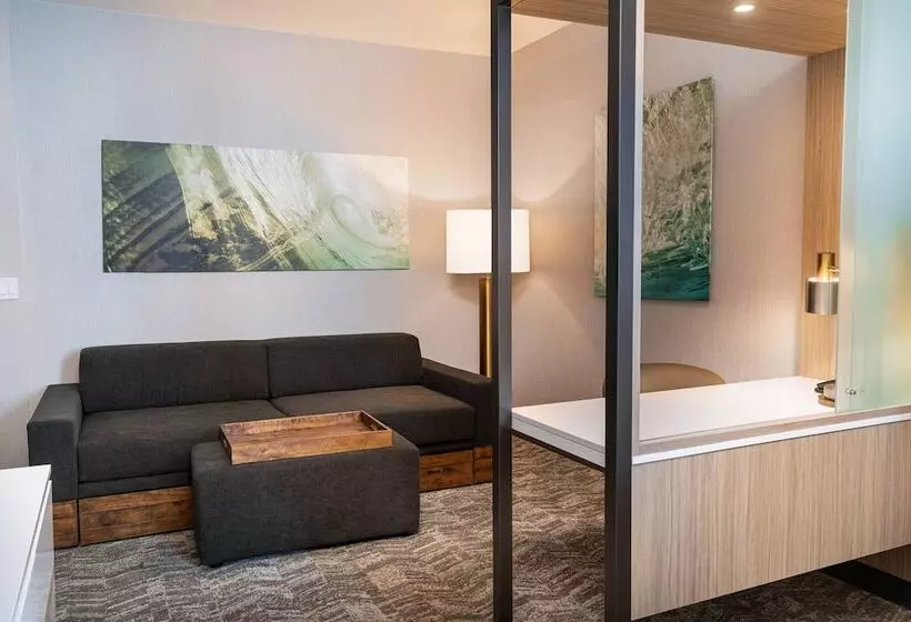 ホテル Springhill Suites By Marriott Irvine Lake Forest