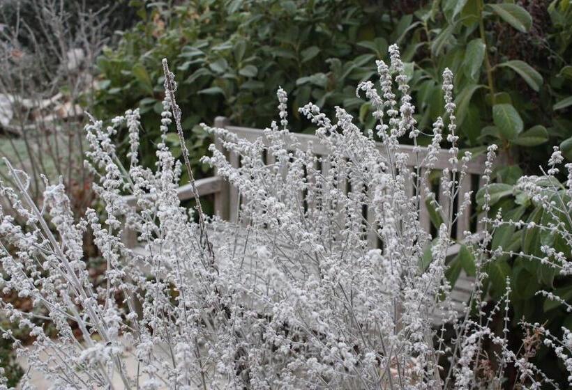 הוסטל Gasthaus Winkelvoß