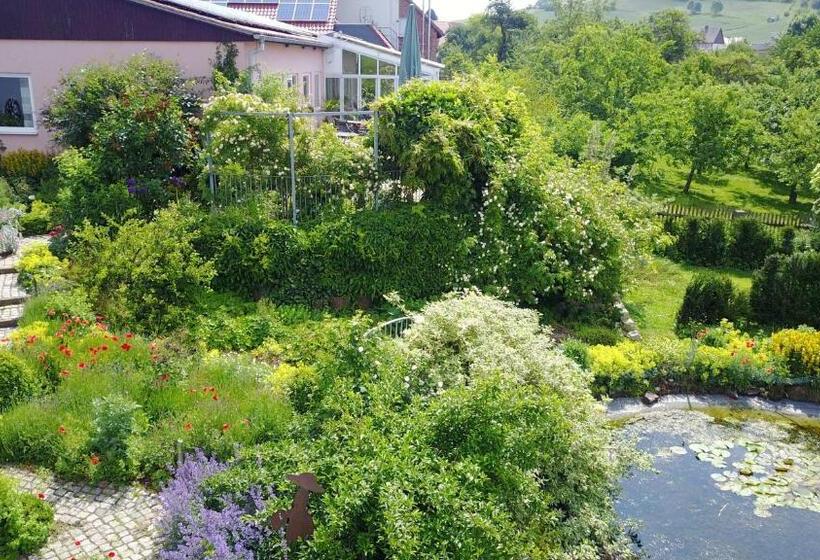 הוסטל Gasthaus Winkelvoß