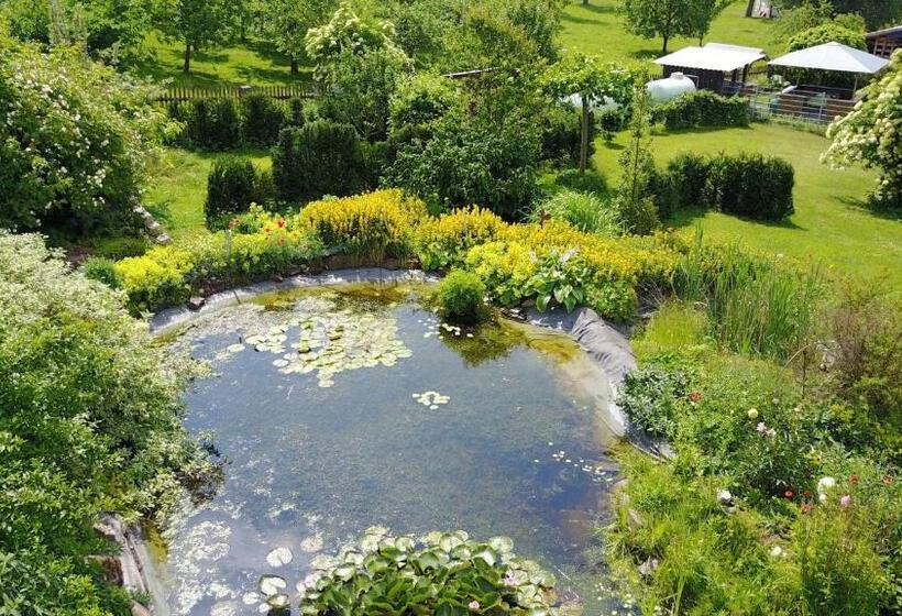 הוסטל Gasthaus Winkelvoß