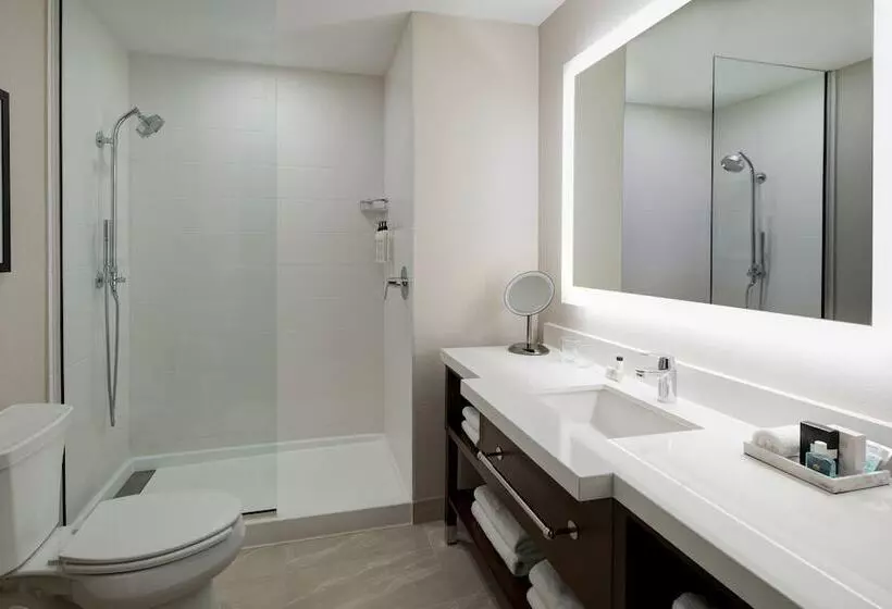 Delta Hotels By Marriott Dallas Southlake