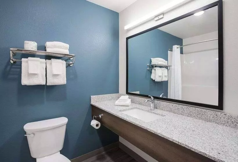 ホテル Woodspring Suites Detroit Madison Heights