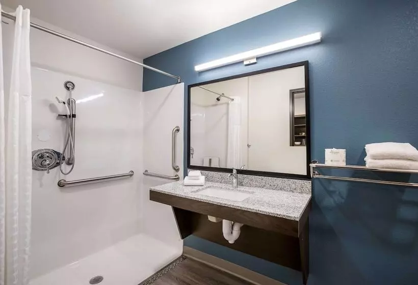 ホテル Woodspring Suites Detroit Madison Heights