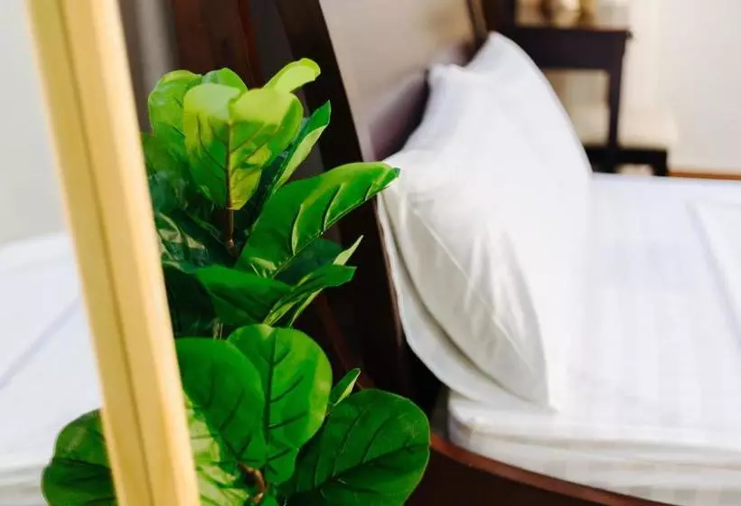 Sunstay Paradise