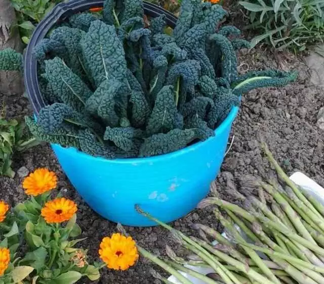 ホテル La Tana Del Picchio