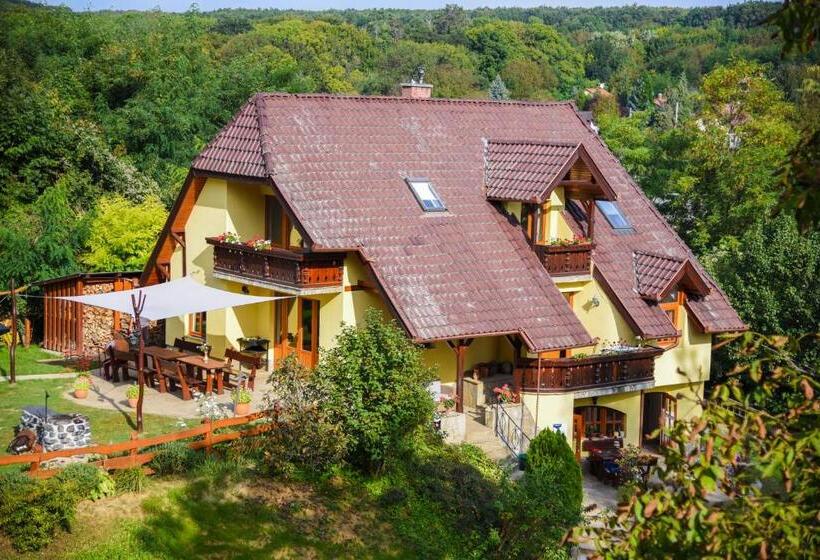 Pension Mokus Vendeghaz