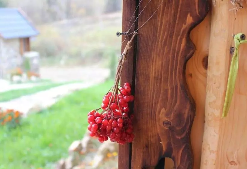 ペンション Skhovanka Dovbusha