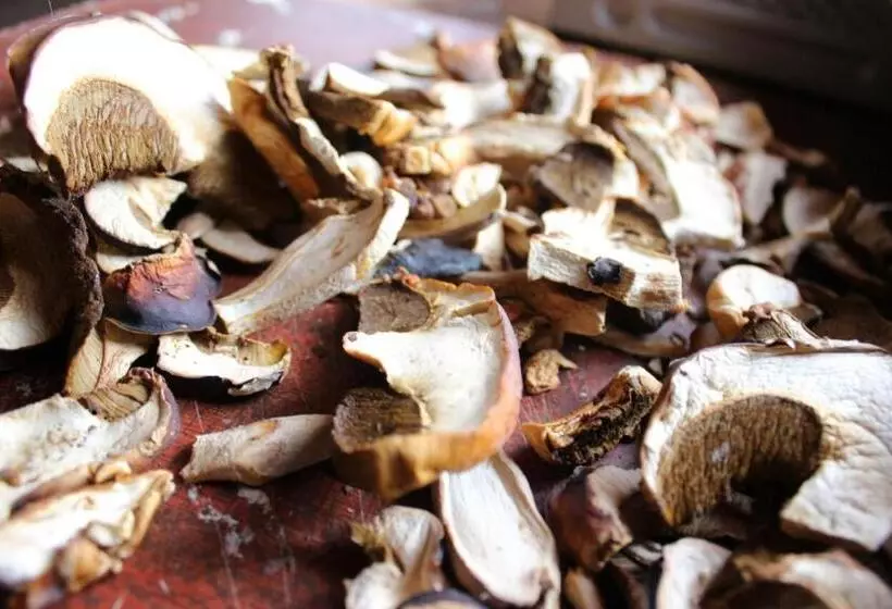 ペンション Skhovanka Dovbusha