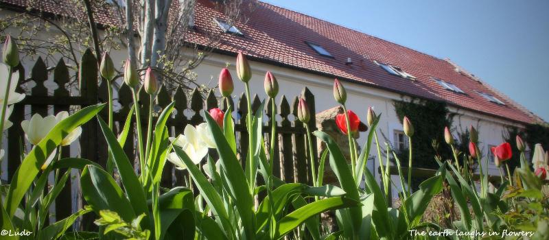 בית מלון כפרי Auberge De Provence