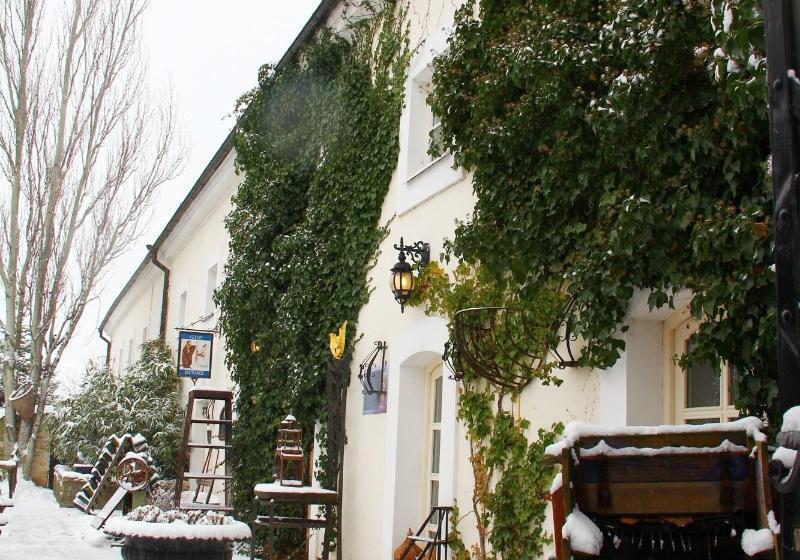 בית מלון כפרי Auberge De Provence