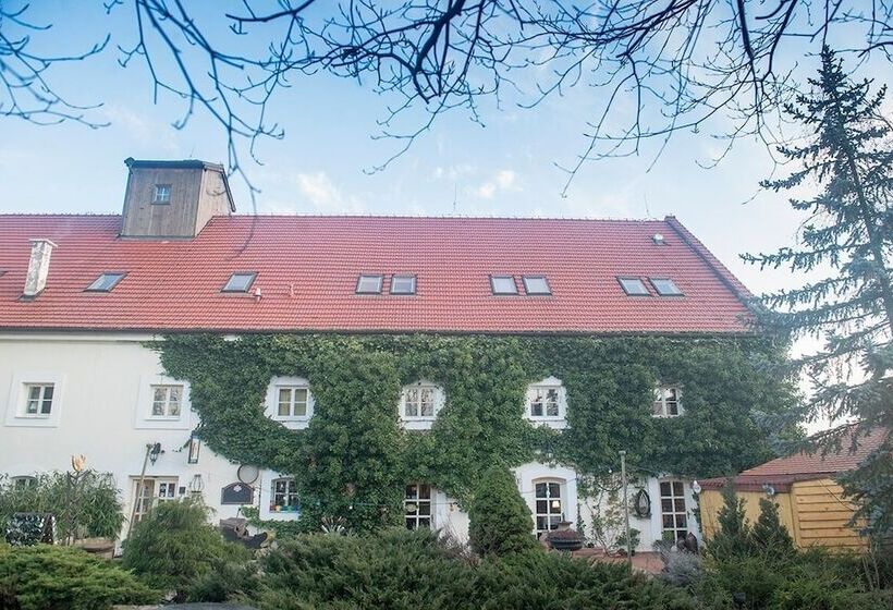 בית מלון כפרי Auberge De Provence