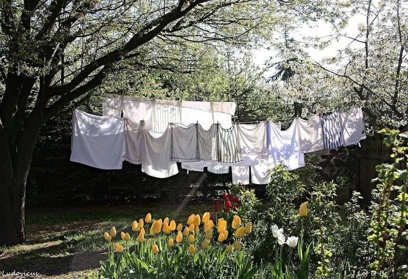 בית מלון כפרי Auberge De Provence