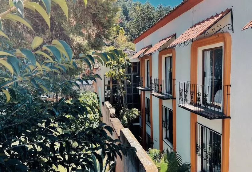 Отель Mansion Del Valle