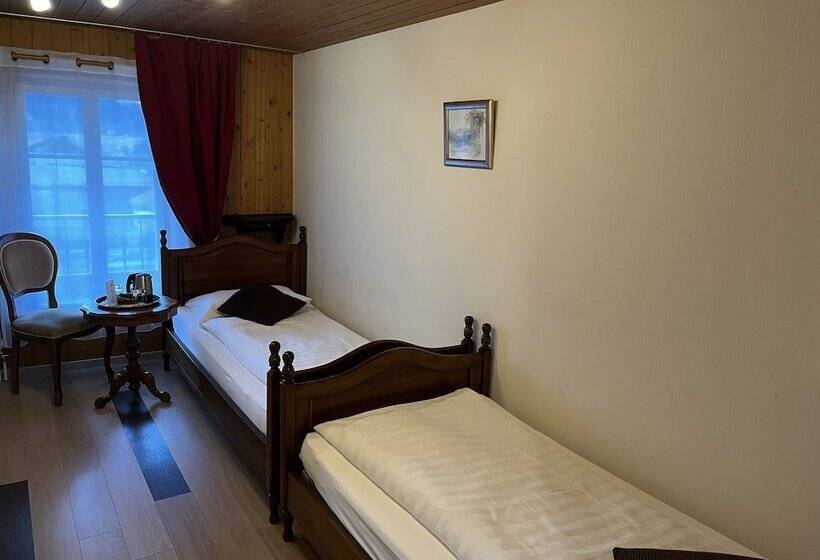 Historic Hotel Steinbock