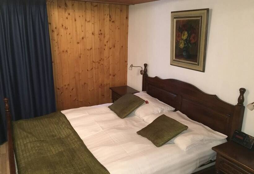 Historic Hotel Steinbock