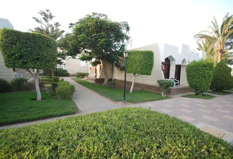 Hotel Regina Resort And Aqua Park Hurghada