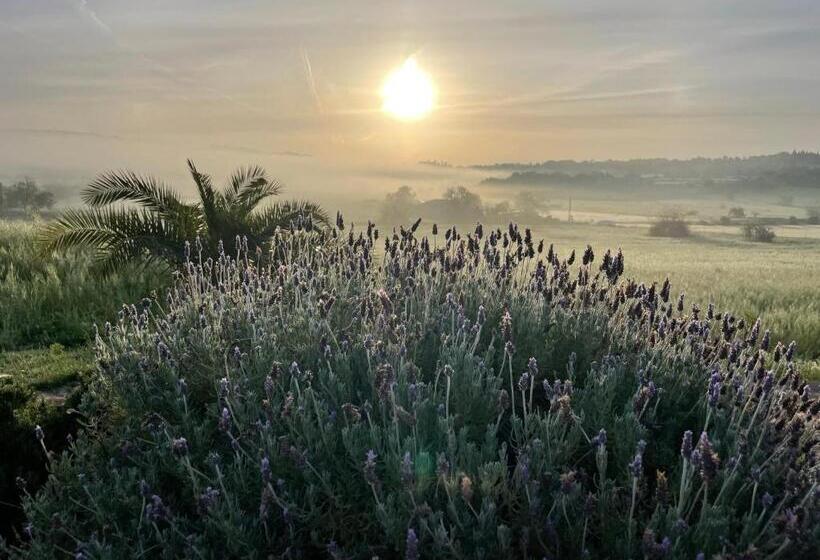 هتل Retreat Finca Son Manera