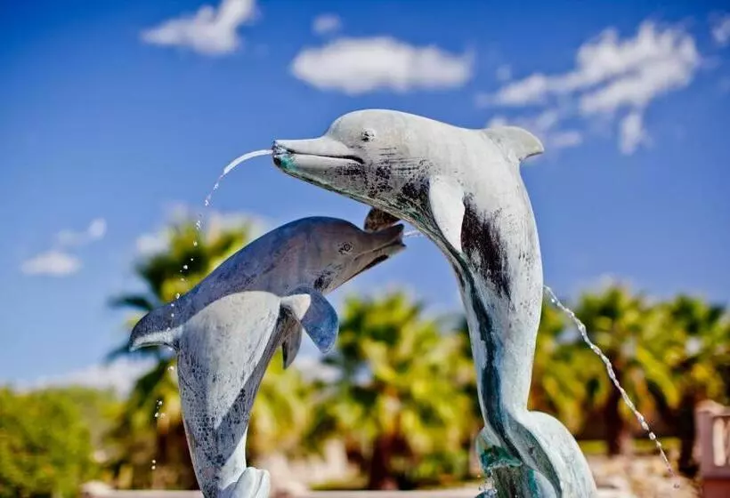 ホテル Retreat Finca Son Manera