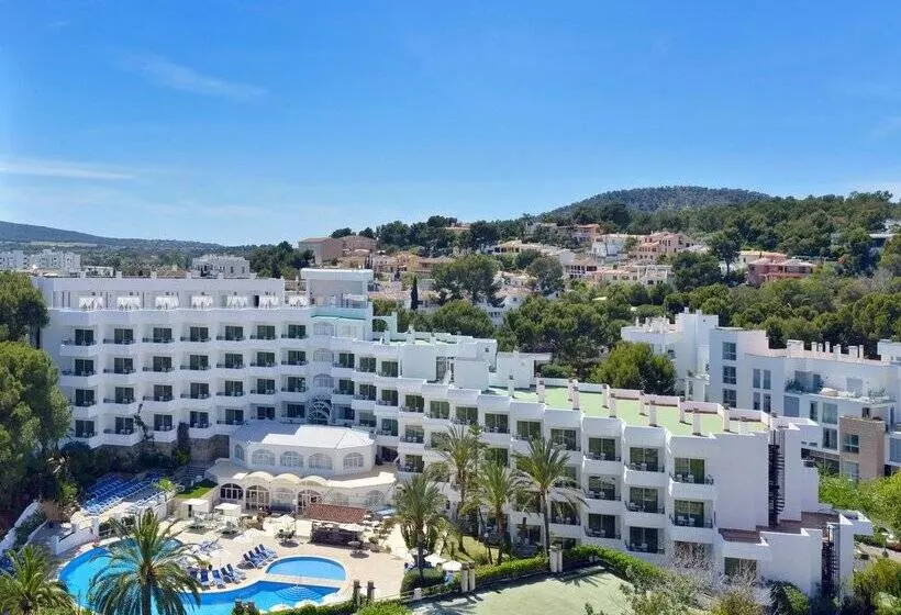 Sol Lunamar Palmanova Apartamentos - Adults Only