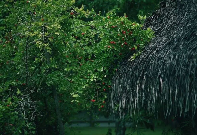 Hotelli Marari Beach Resort Alleppey  A Cgh Earth Experience