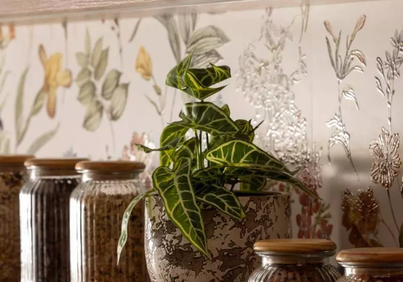 Отель Maxim Opera