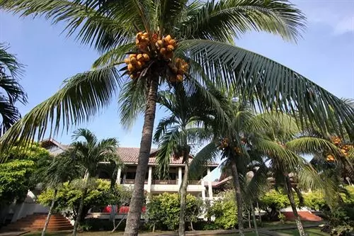 Hotel Gem Beach Resort