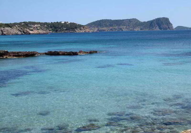 Typic Sandic Apartments