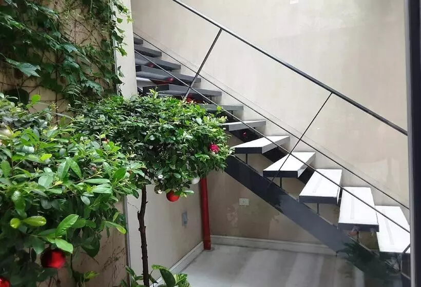 هتل 248 Finisterra