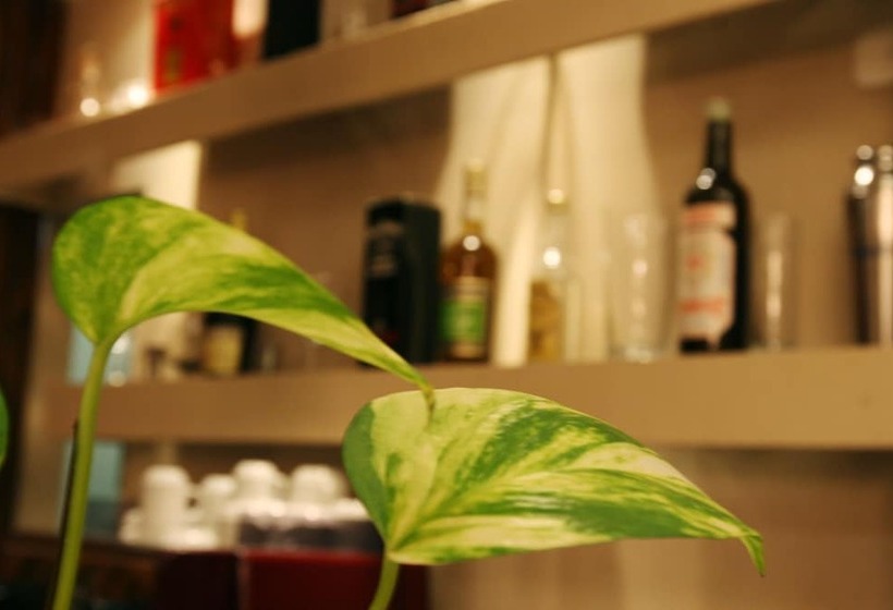 هتل 248 Finisterra