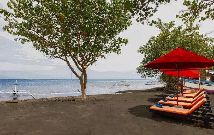 Отель Bali Taman Beach Resort & Spa Lovina