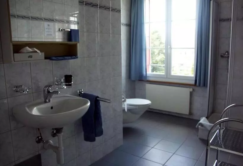 Отель Restaurant Bahnhof