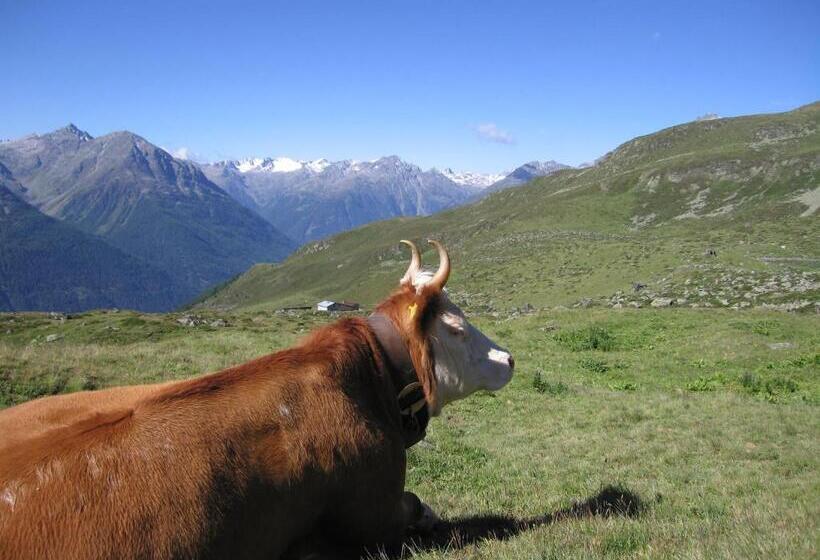 Schorta S Hotel Alvetern